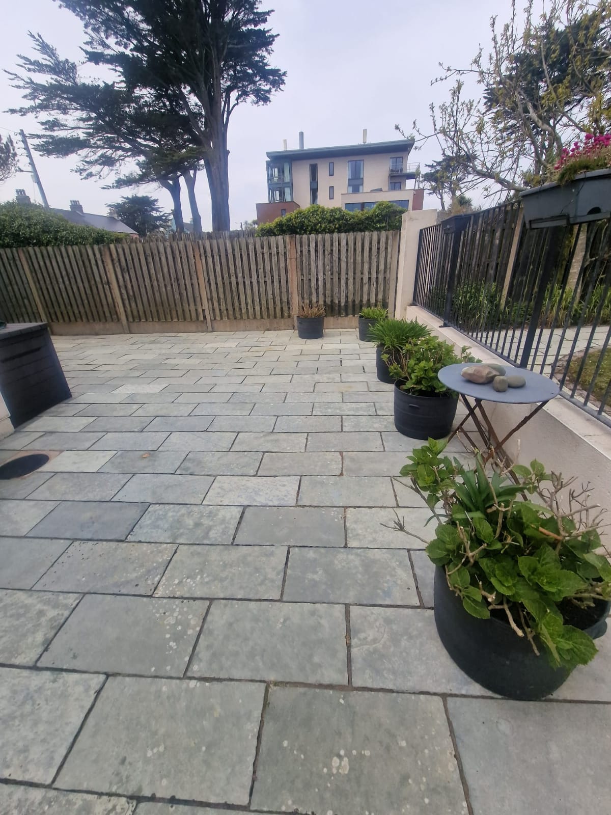 Residential Cleaning Project 5